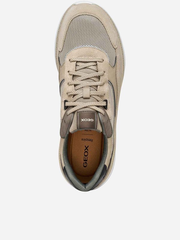 The Best Shops GEOX: スニーカー - 無