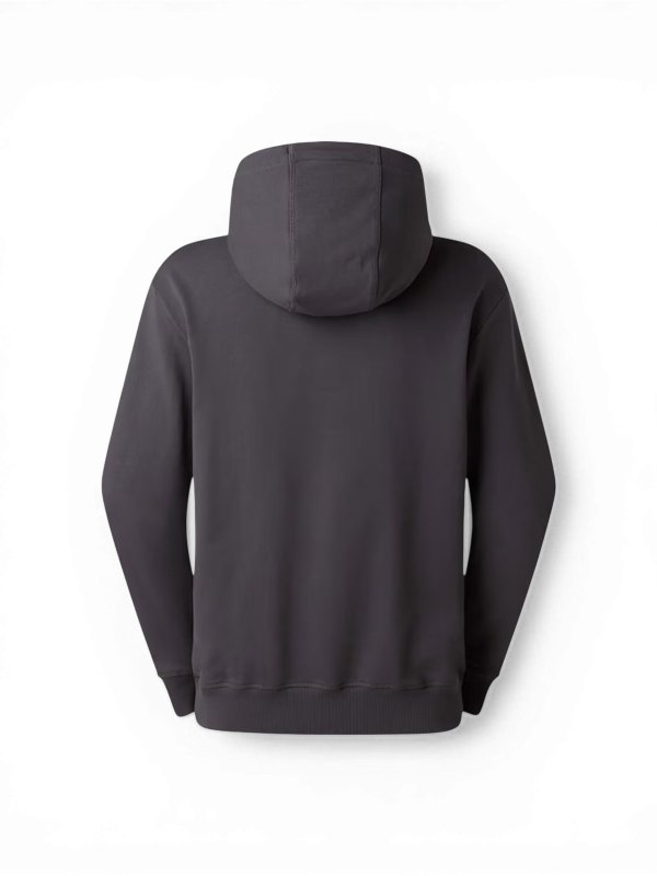 THE NORTH FACE: Sudaderas y suéteres online - Sudadera - Gris