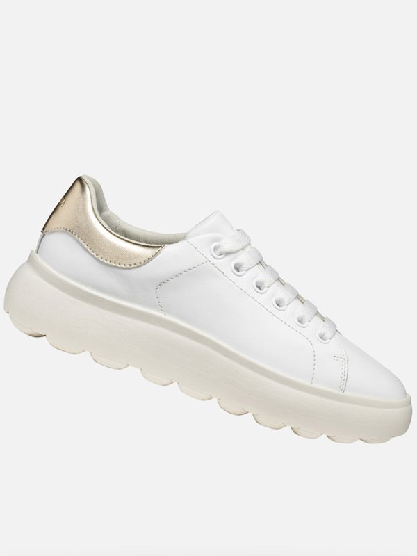 GEOX: Sneaker online - Sneaker - Schwarz
