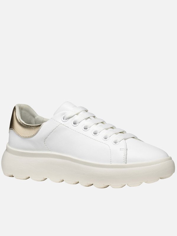 Sneaker - Schwarz shop online: GEOX