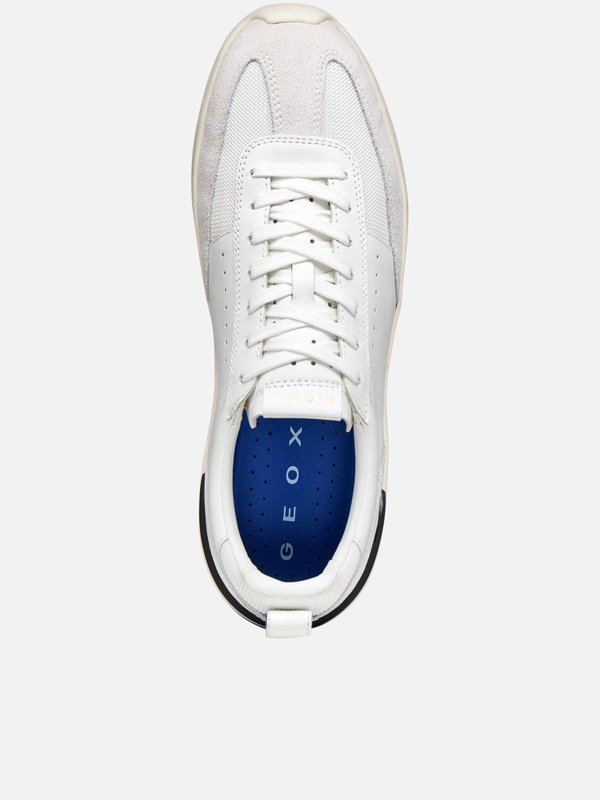 The Best Shops GEOX: Gxrn 02