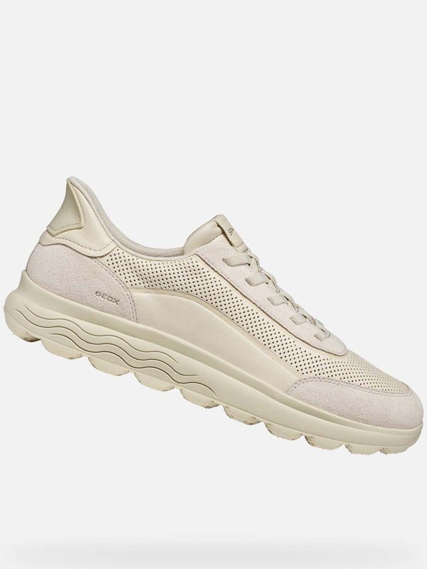 GEOX: Sneaker online - Sneaker - Schwarz