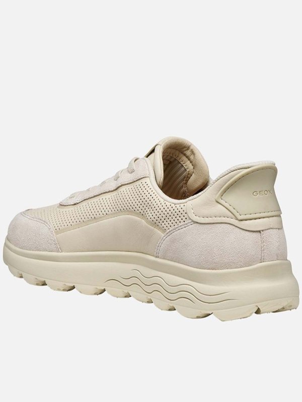 Sneaker - Schwarz shop online: GEOX