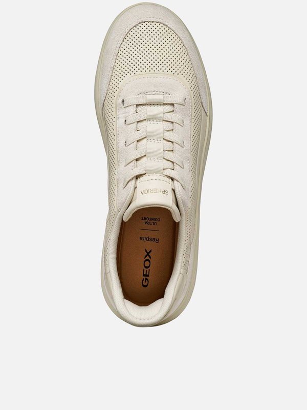 The Best Shops GEOX: Sneaker - Schwarz