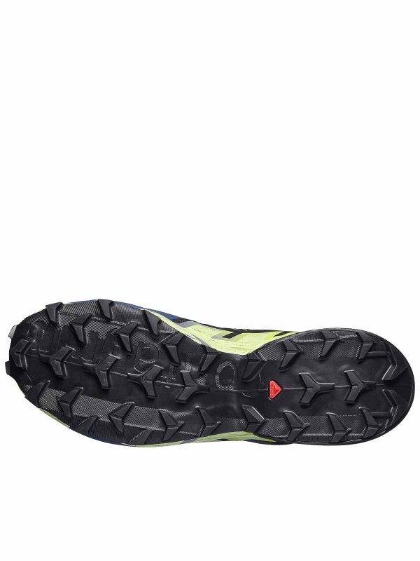 The Best Shops SALOMON: Speedcross 6