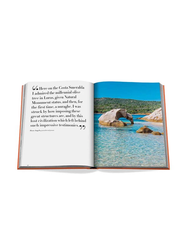 ASSOULINE buy online 雑貨 - オレンジ