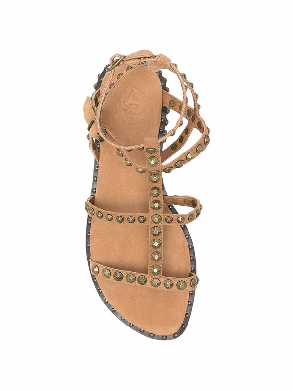 Sandalias - Marrón shop online: ASH