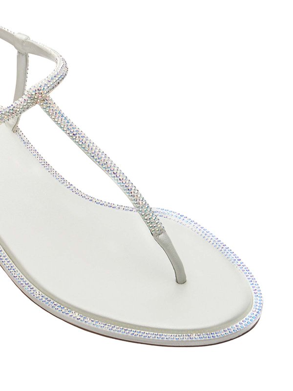 Thong shop online: RENE CAOVILLA
