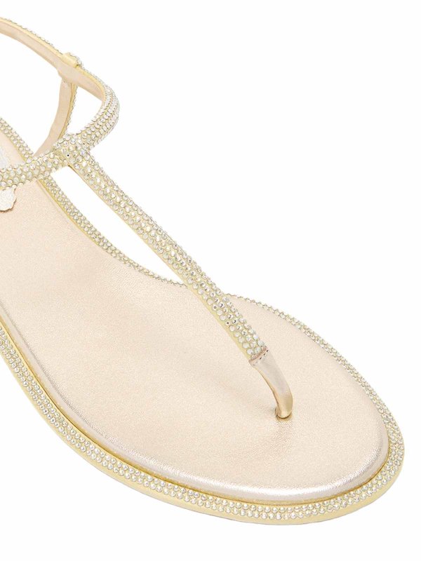Thong shop online: RENE CAOVILLA