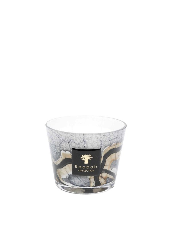 Baobab: Belleza - Belleza - Gris