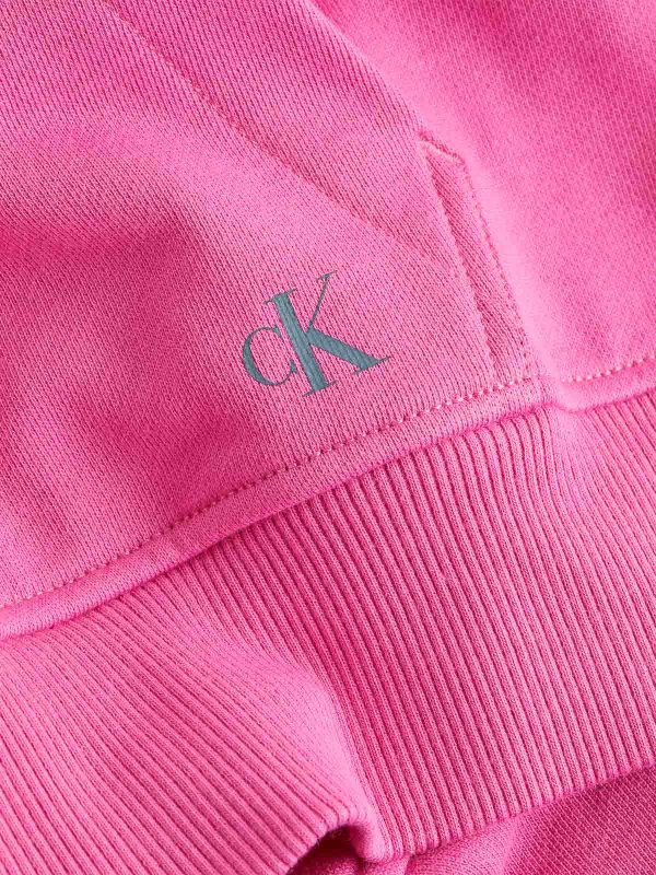 The Best Shops CALVIN KLEIN: Sweatshirts und Pullover - Sweatshirt - Bunt