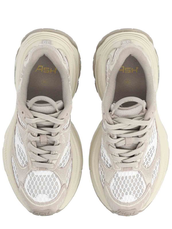 ASH buy online Dragon Sneaker