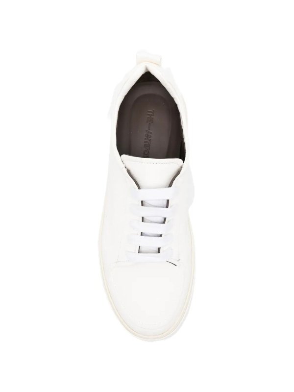 The Best Shops THE ANTIPODE: classiche - MosÃ¨ Derby