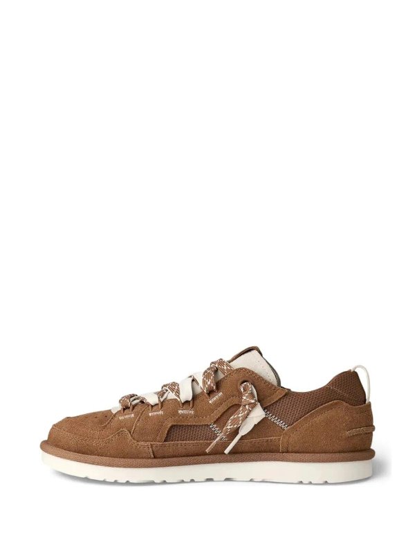 Sneaker shop online Sneaker - Braun