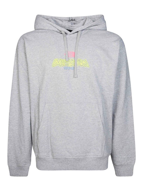 THE NORTH FACE: Sudaderas y suéteres - Sudadera - Gris