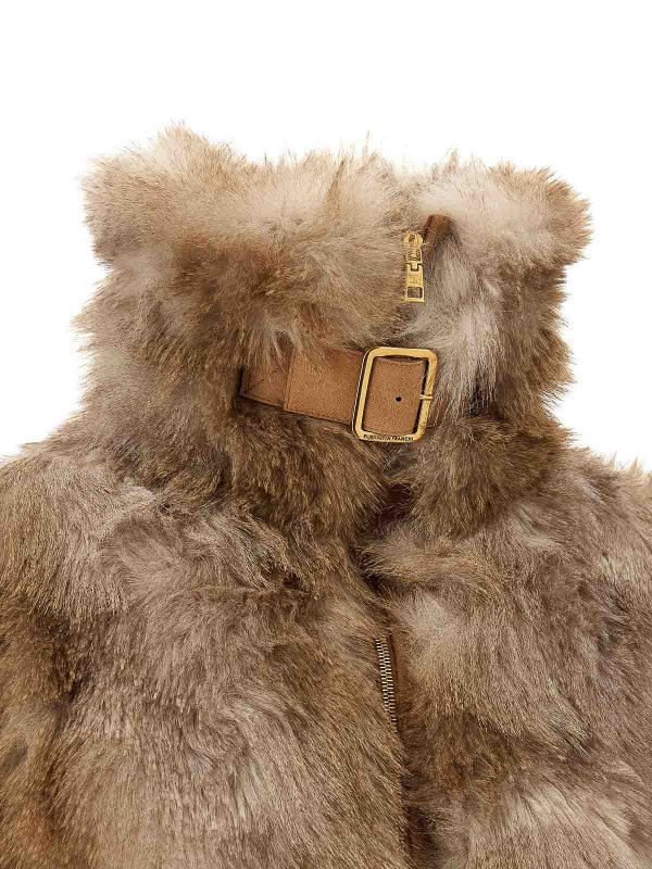 ELISABETTA FRANCHI buy online カジュアルジャケット - ブラウン