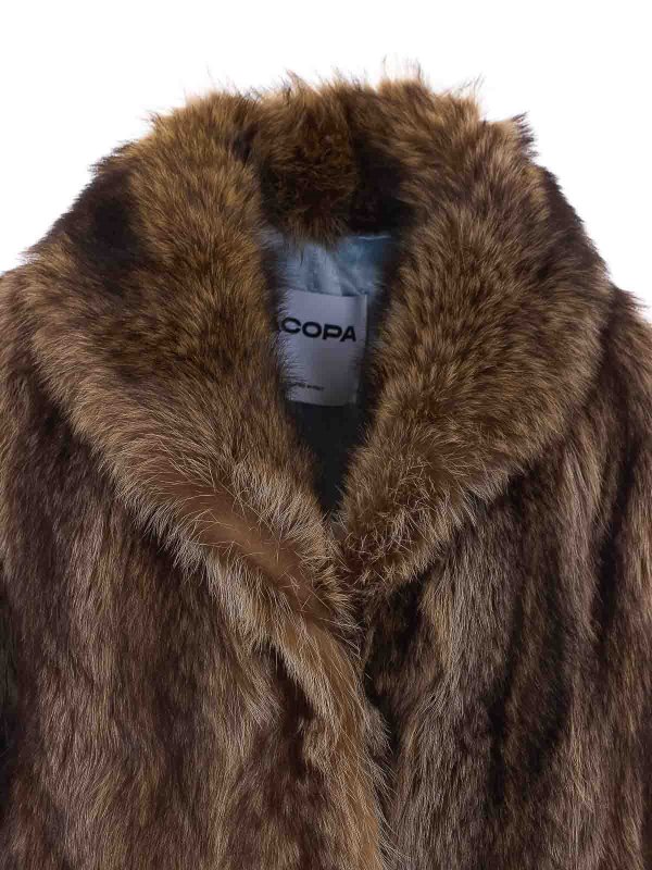 Blazer - Braun shop online: IACOPA