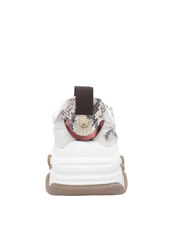 Sneaker - Beige shop online: Steve Madden