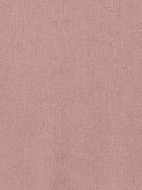 TWINSET: Schals online - Schal - Rosa