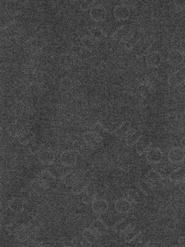 Liu Jo: Schals online - Schal - Grau