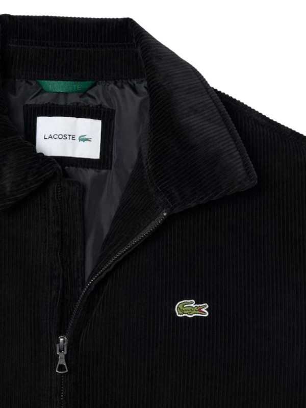 LACOSTE: knee length coats online - Black Jackets