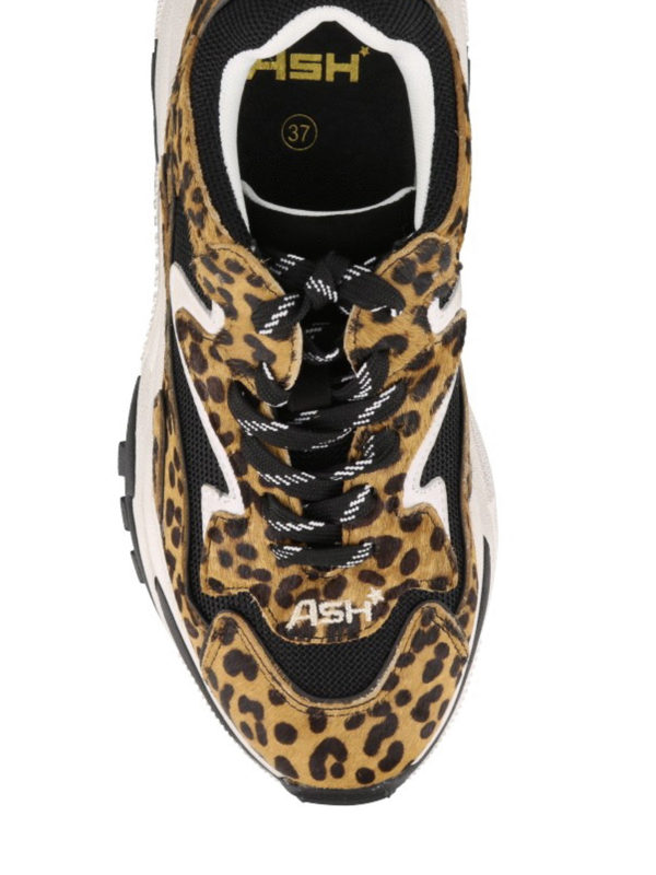 Ash sneakers hot sale addict leopard