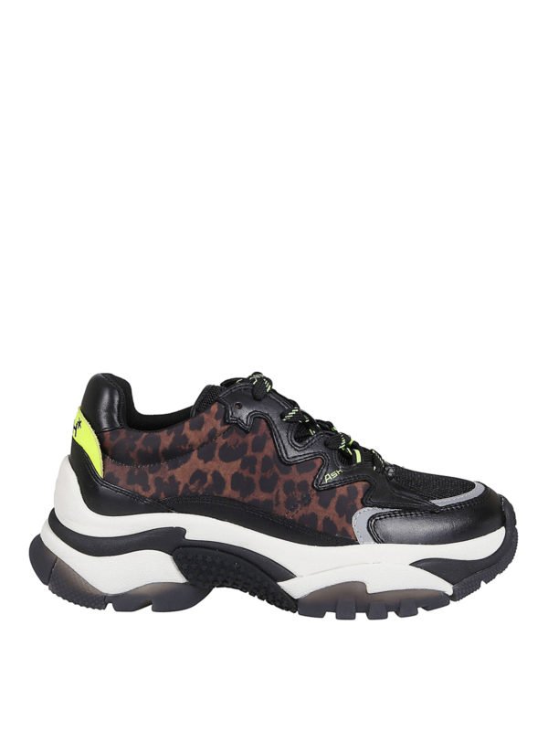 ASH: trainers - Addict leopard sneakers