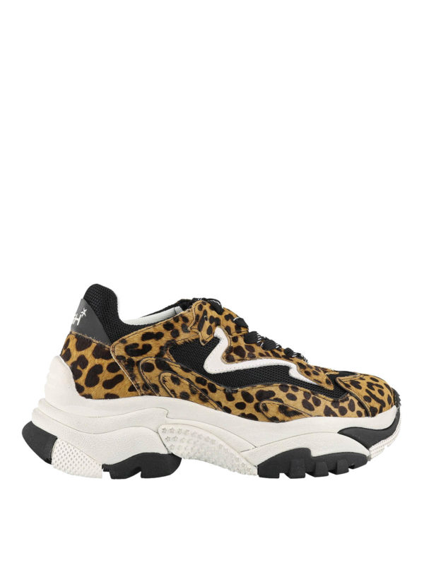 ASH: Sneaker - Sneaker - Bunt