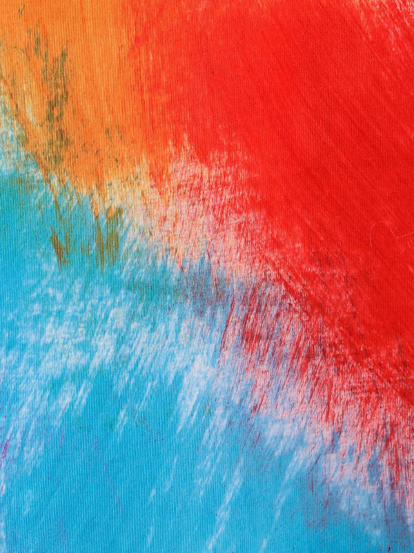 T-Shirt - Multicolore shop online: m.s.g.m.