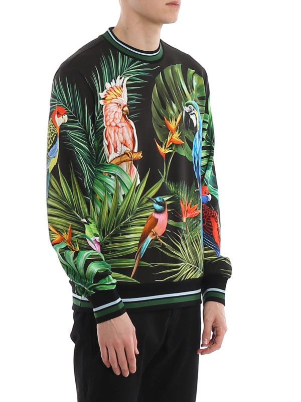 DOLCE & GABBANA buy online Parrots printed sweatshirt