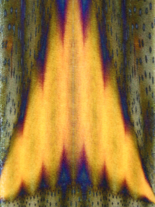 MARIA ENRICA NARDI: Écharpes online - Écharpe - Vivienne