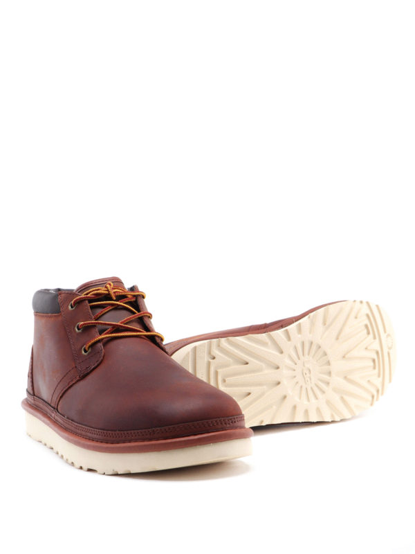 Neumel Utility ankle boots shop online: UGG