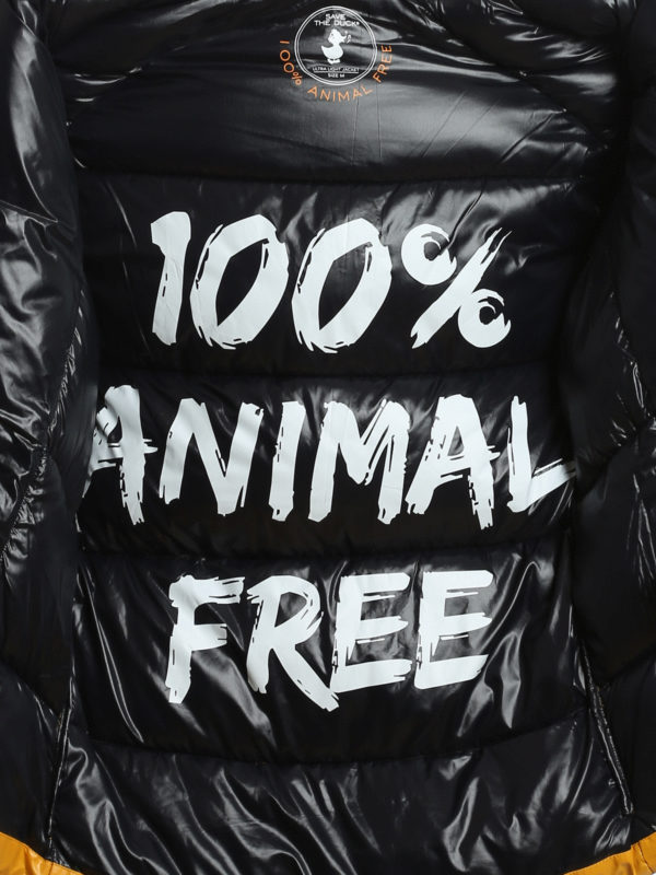Save The Duck buy online Daunenjacke - Hellorange