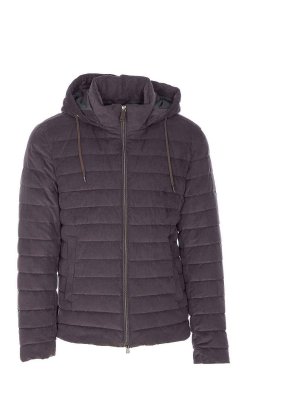 HERNO: Vestes-rembourrees - Blouson Rembourré - Gris