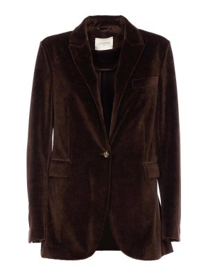 CIRCOLO 1901: Chaquetas casual - Chaqueta Casual - Marrón