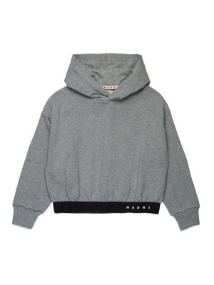 Marni: Sweatshirts und Pullover - Sweatshirt - Grau