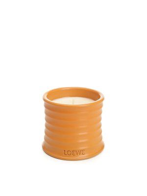 LOEWE: Heim - Einrichtung - Orange