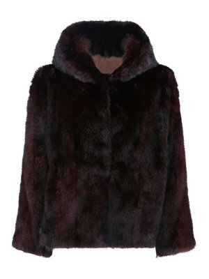 IACOPA: Blazer - Blazer - Rosene