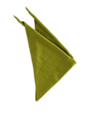 EXTREME CASHMERE: sciarpe e foulard - Bandana N35 Erba