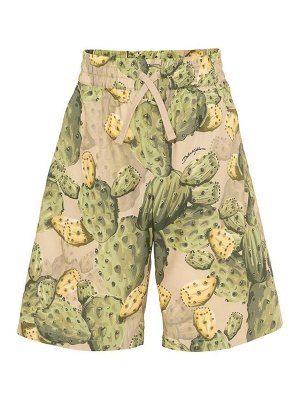 Dolce & Gabbana Jr: Shorts - Shorts - Multicolor