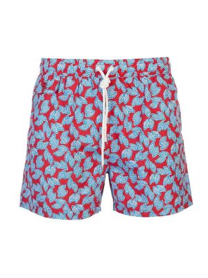 KITON: 水着 - スイムショーツ/スイムトランクス - マルチカラー