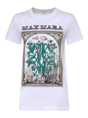 Max Mara: t-shirts - Cotton Jersey T-Shirt