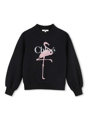 CHLOE': Sweatshirts & Sweaters - Printed Sweatshirt