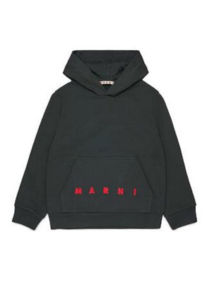 Marni: Sweatshirts und Pullover - Sweatshirt - Grau