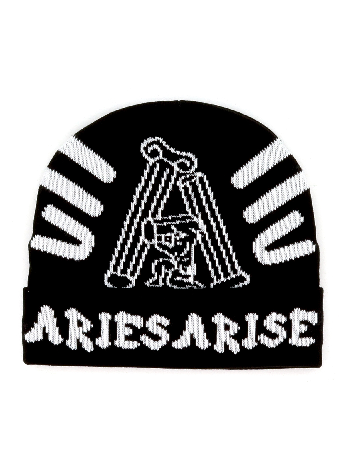 Aries ビーニー帽 - 黒 - ブラック|FSAR91020BLACKOLIVE