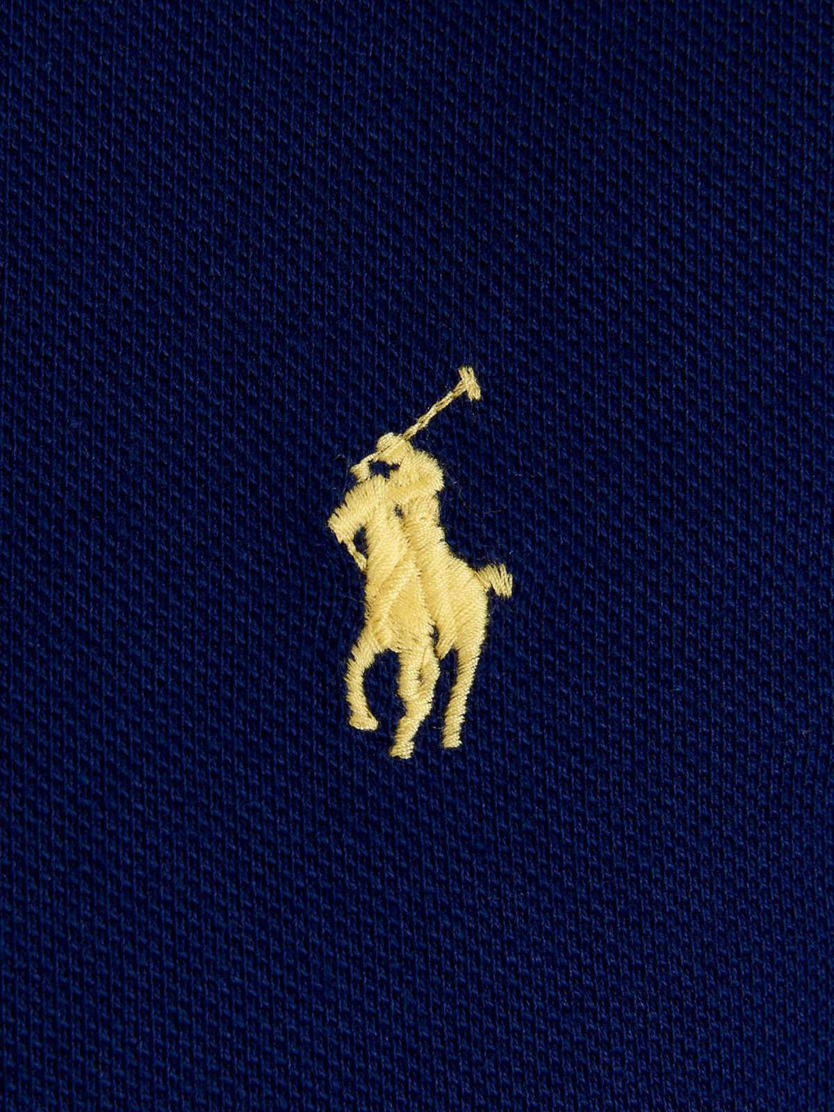 Shop Polo Ralph Lauren Cavallino Polo Shirt In Blue