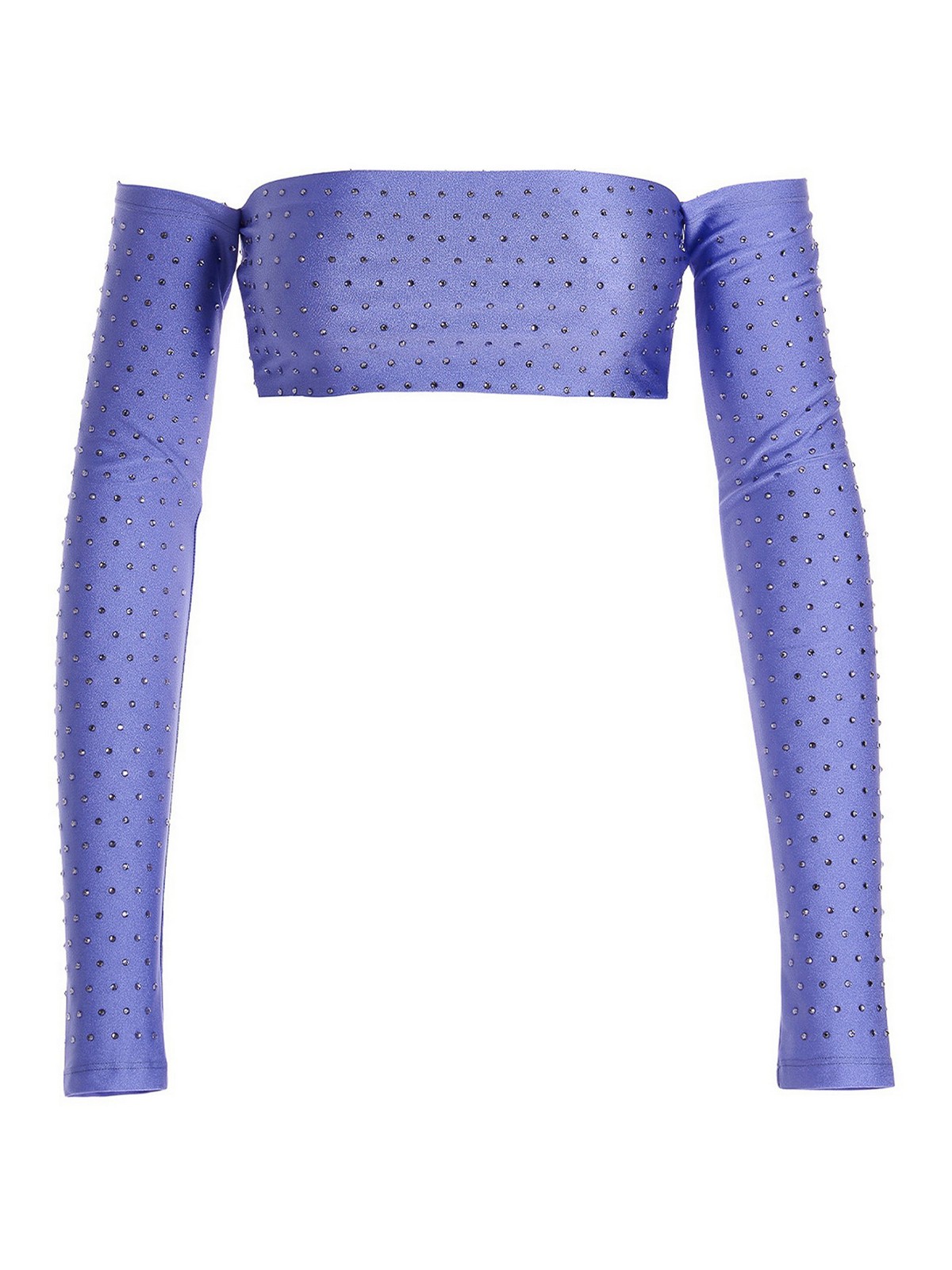 The Andamane Crystal Cropped Top In Purple