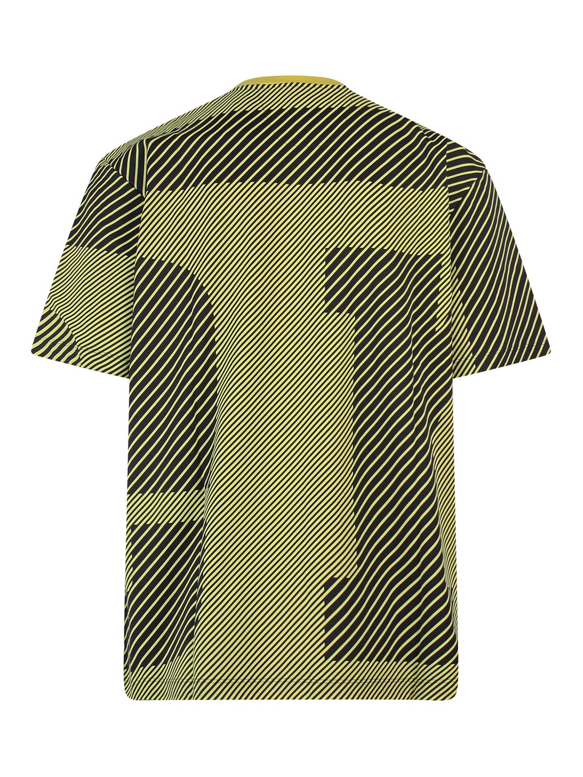 Shop Ferrari Cotton T-shirt With Water-based Print In Yellow