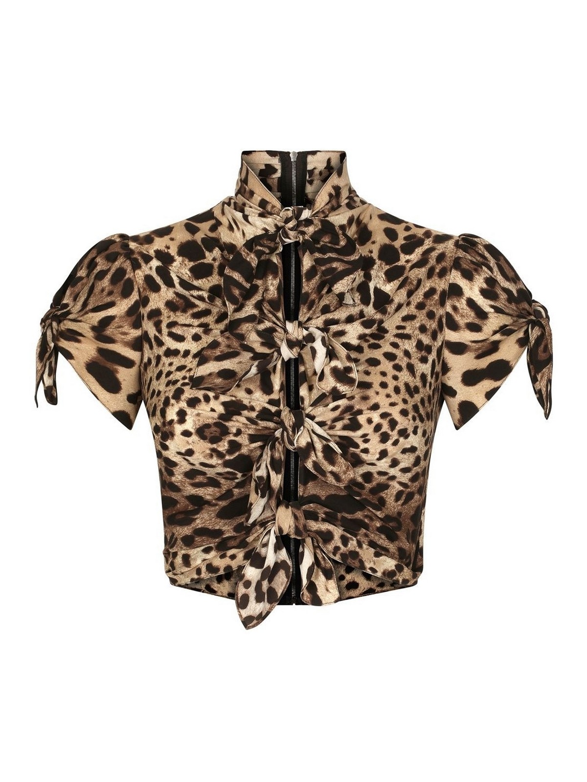 Dolce & Gabbana Leopard-print Cropped Top In Brown