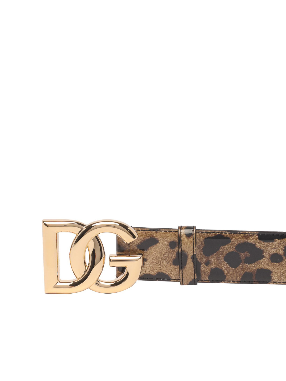 Shop Dolce & Gabbana Leo Logo Belt In Brown